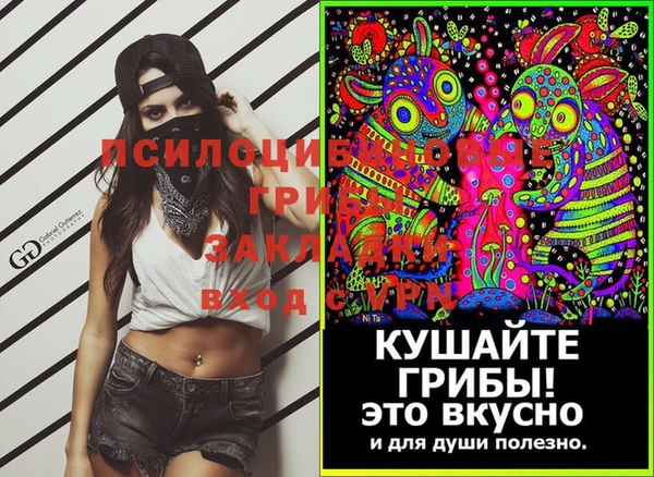 PSILOCYBIN Мегион