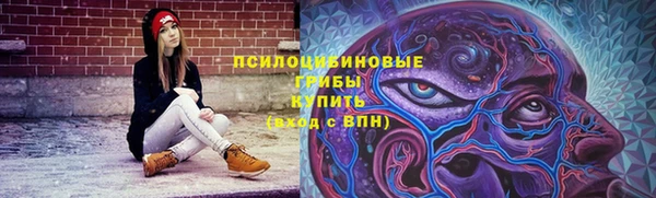 крисы Михайлов