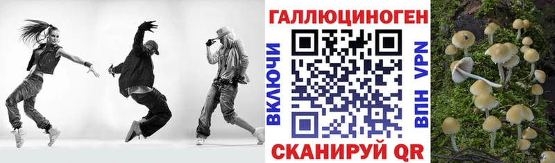 хочу   Новая Ляля  Галлюциногенные грибы мицелий 